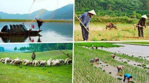 Έχουν δημιουργηθεί όρια για τους διάφορους τρόπους ζωής των ανθρώπων