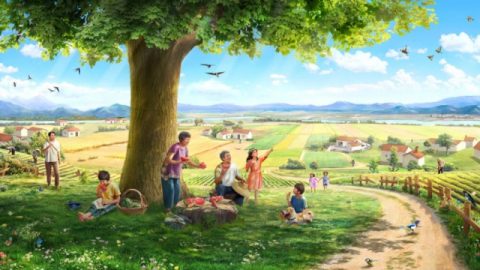 Ένας σπόρος, η γη, ένα δέντρο, το φως του ήλιου, τα ωδικά πτηνά και ο άνθρωπος