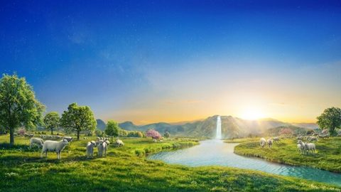 Ένας ποταμός του ύδατος της ζωής