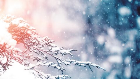 Καλλιτεχνικά υλικά